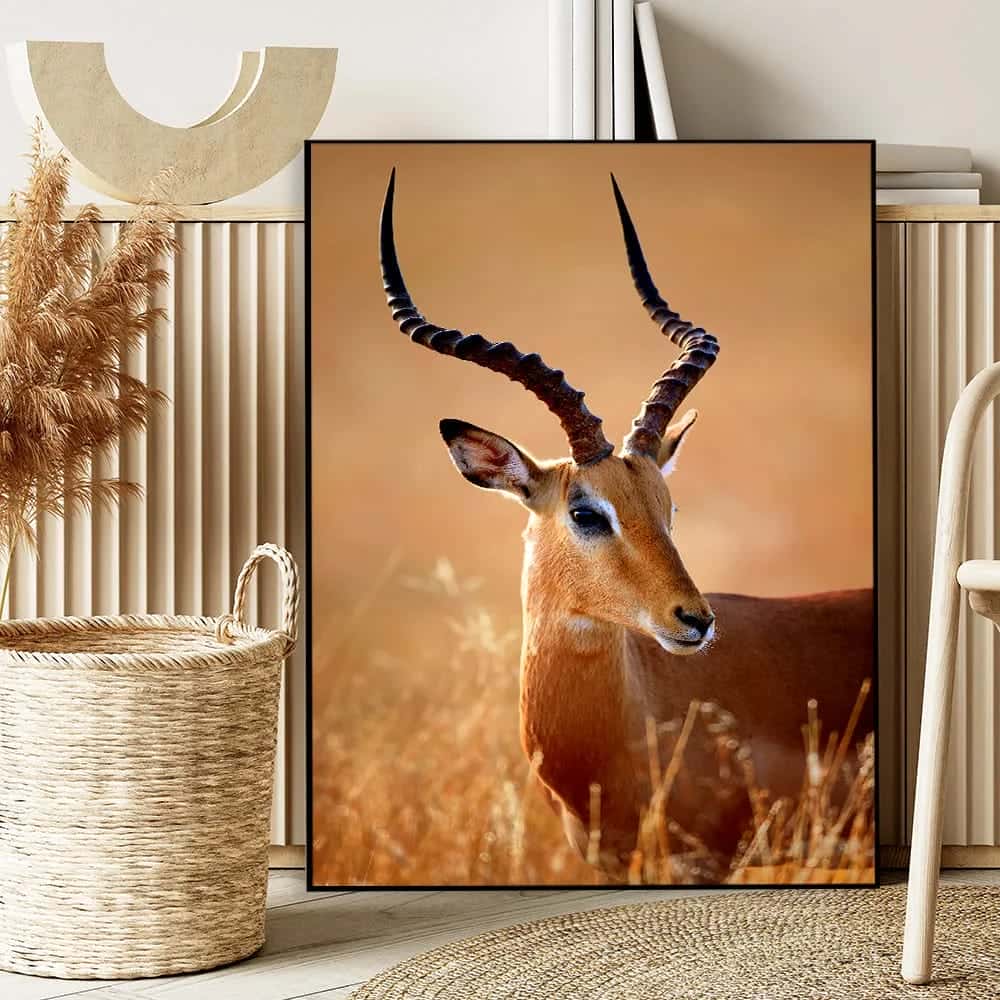 Antelope | Wildlife Artwork | Nature Wall Art | A2 at XILEF Art